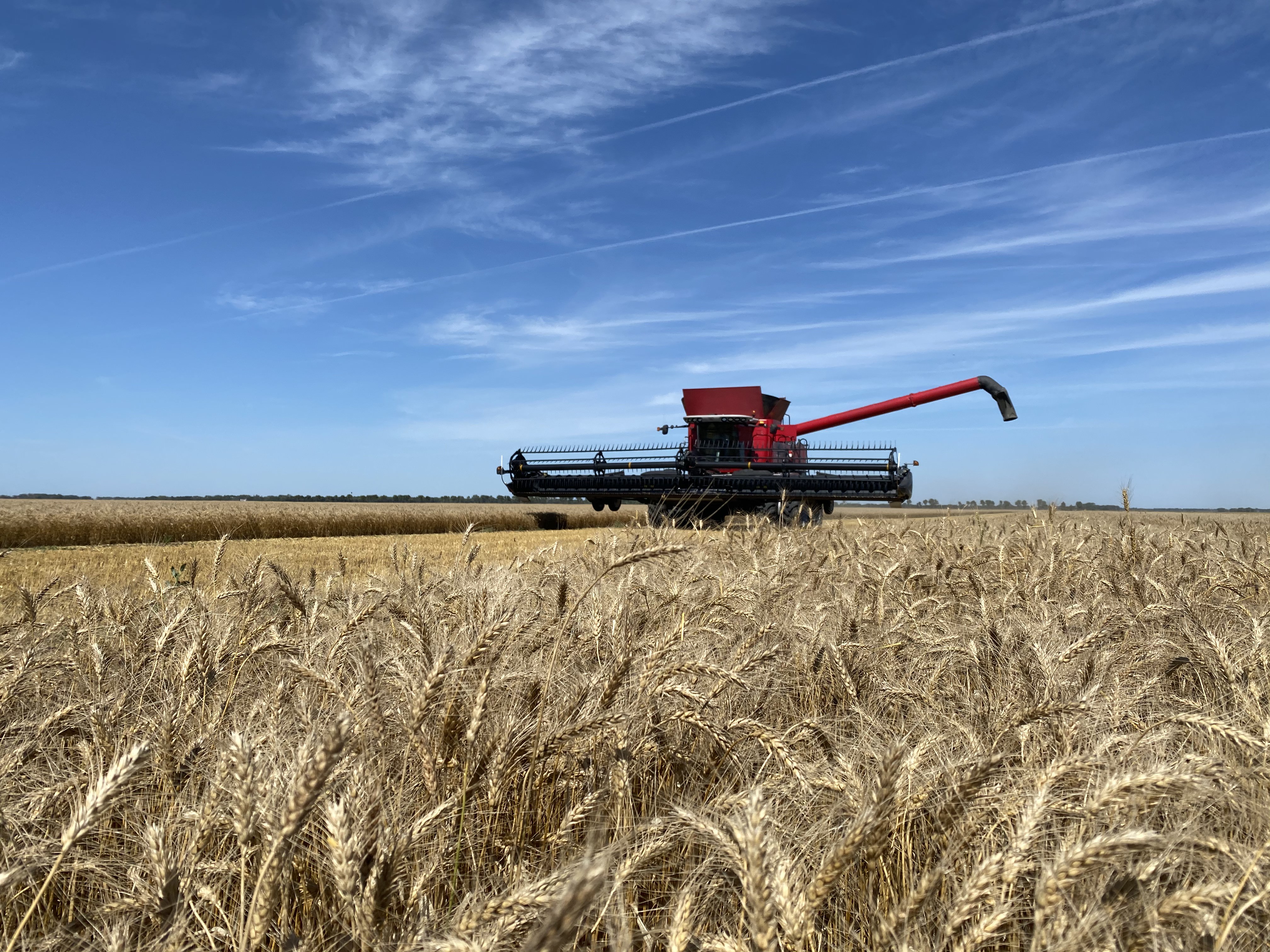 Combine Photo