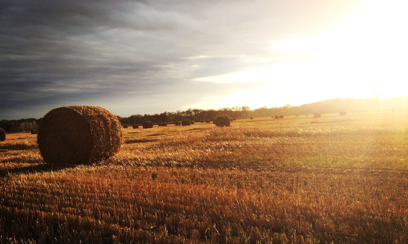 Fisher Seeds Farm
