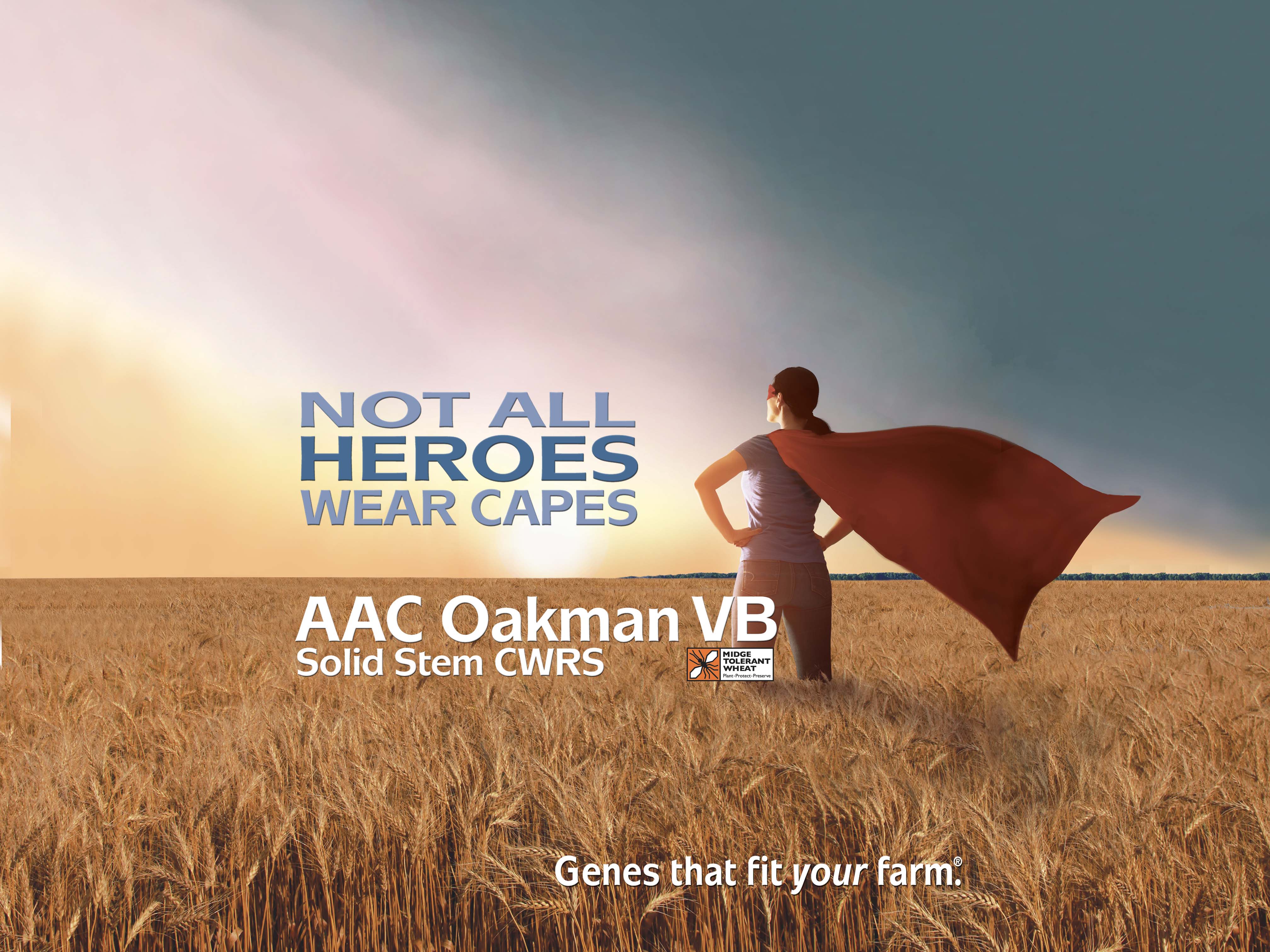 Oakman VB
