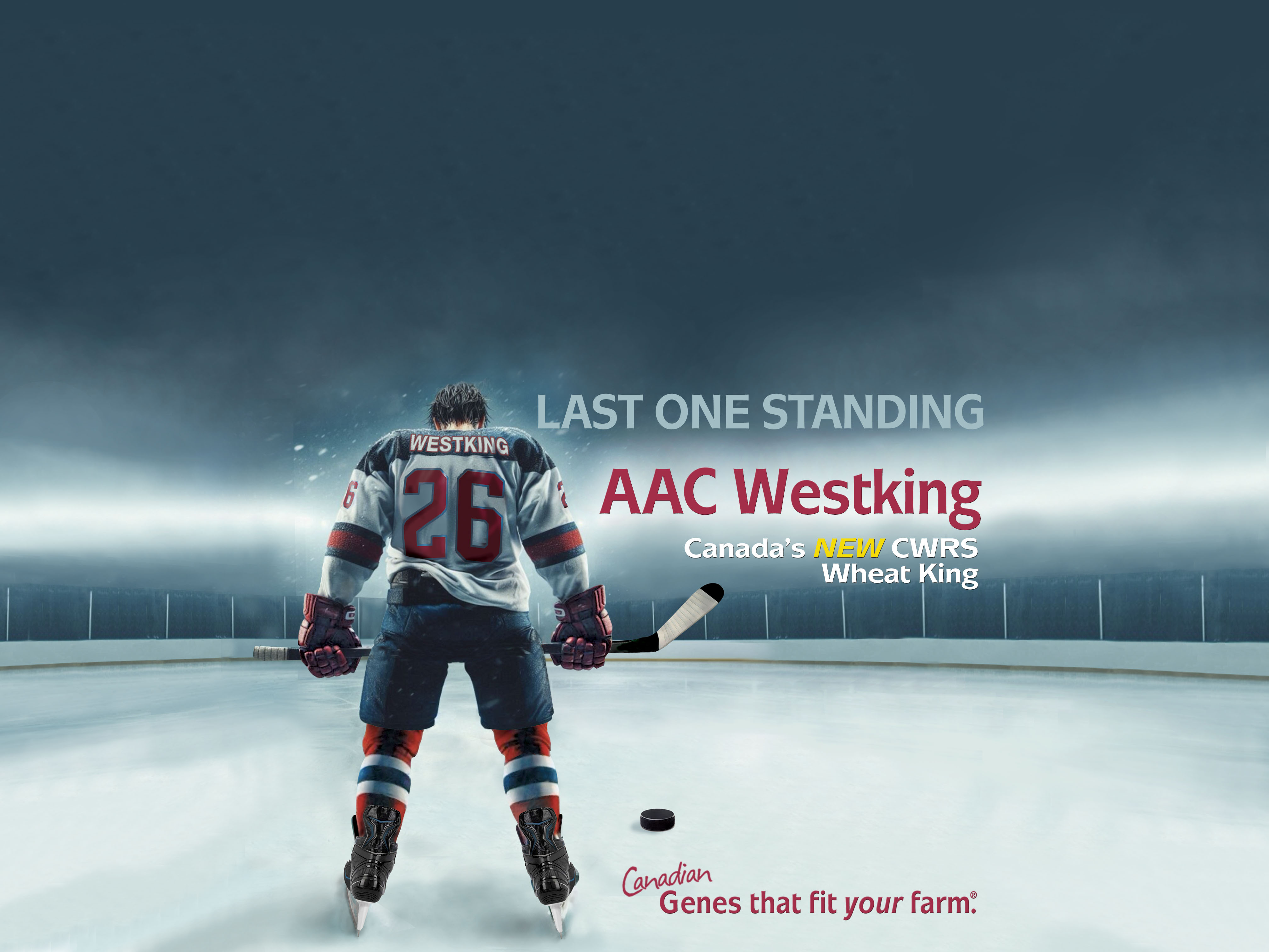 aac-westking