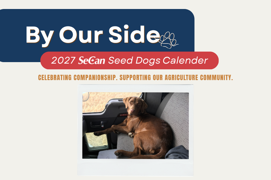 By Our Side campaign header. 