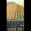 Embedded thumbnail for N207