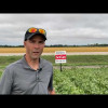 Embedded thumbnail for 0341