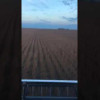Embedded thumbnail for N207