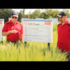 Embedded thumbnail for CDC Fraser