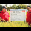 Embedded thumbnail for CDC Bow