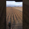Embedded thumbnail for N207