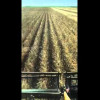 Embedded thumbnail for N207
