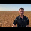 Embedded thumbnail for N257